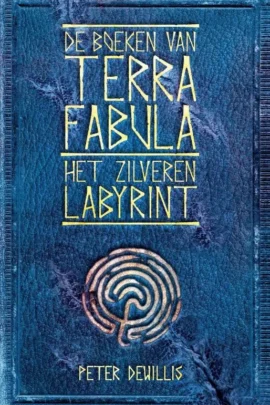 Het zilveren labyrint