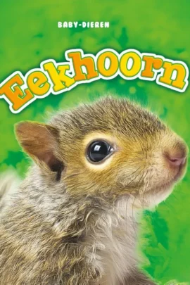 Eekhoorn