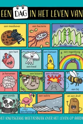 Een dag in het leven van...