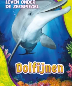 Dolfijnen