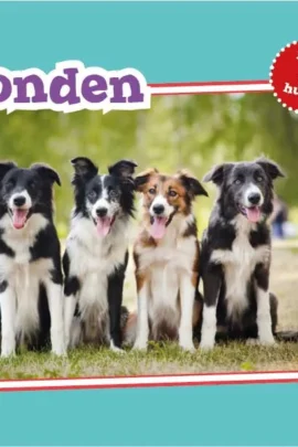 Honden