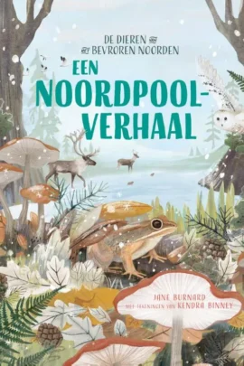 Een Noordpoolverhaal