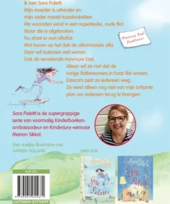 Alternative view of De villaflat