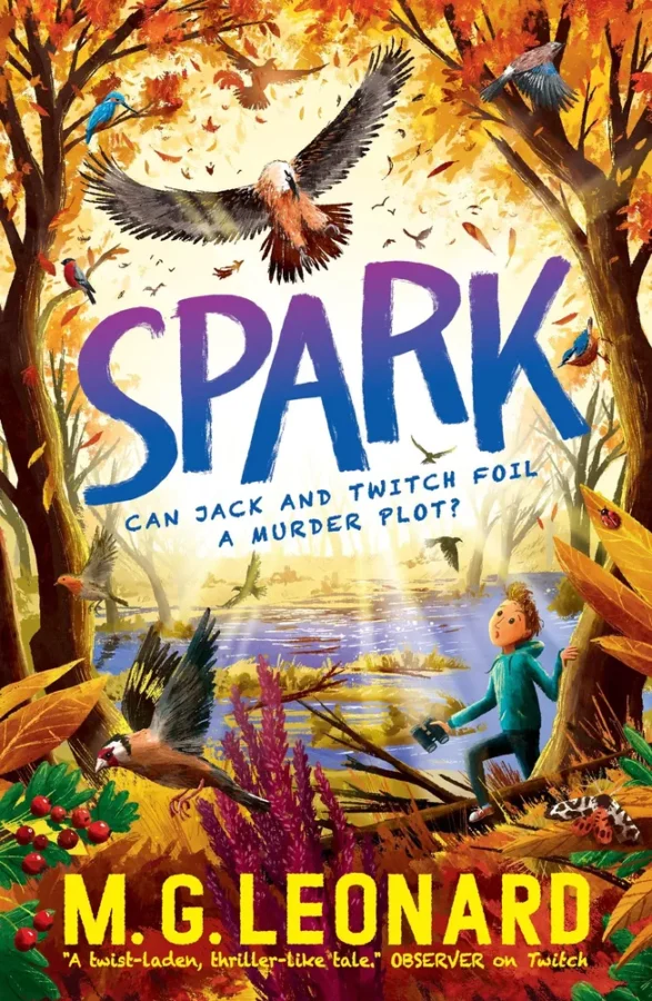 Rapunsel kinderboeken |