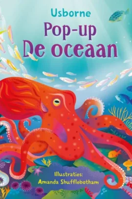 De oceaan