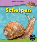 Schelpen | 9789461755131 Schelpen | 9789461755131