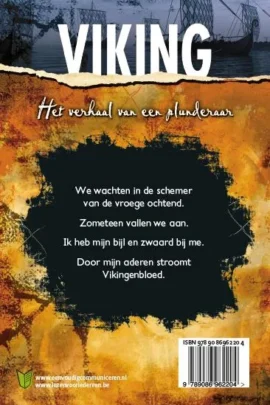 Alternative view of Viking