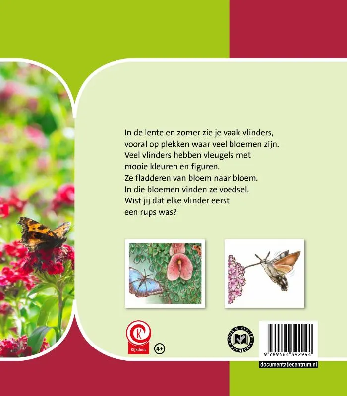 vlinders | 9789464392944 vlinders - Afbeelding 2
