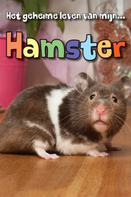 Hamster