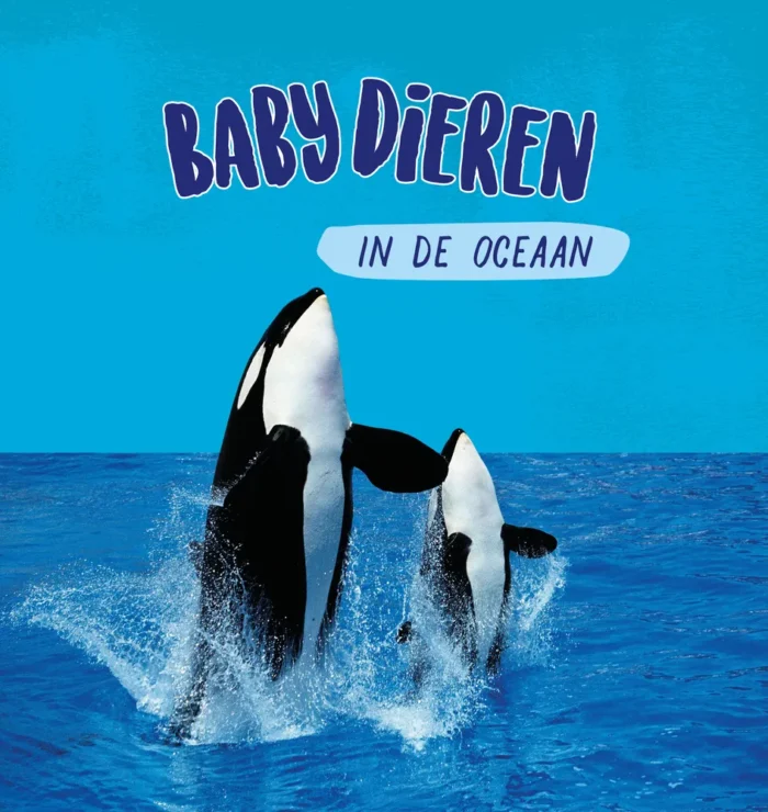 In de oceaan