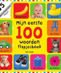 Mijn eerste 100 woorden flapjesboek