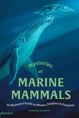 Mysteries of Marine Mammals