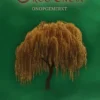 Onopgemerkt | 9789464789690