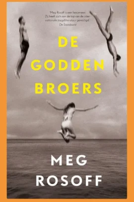 De Godden broers