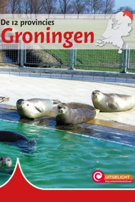 Groningen