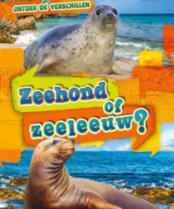 Zeehond of zeeleeuw?