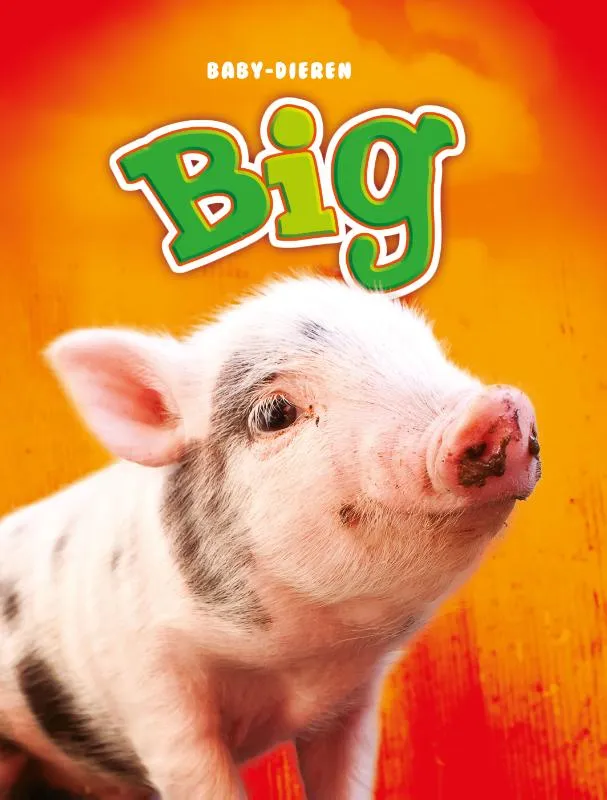 Big | 9789463411691 Big