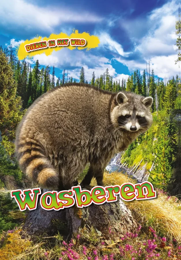 Rapunsel kinderboeken |