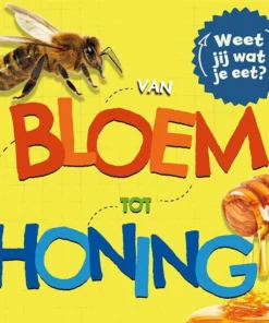 Van bloem tot honing