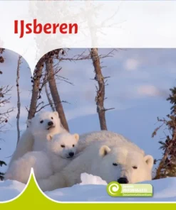IJsberen