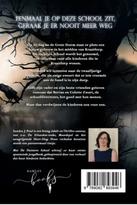 Alternative view of De Duistere School