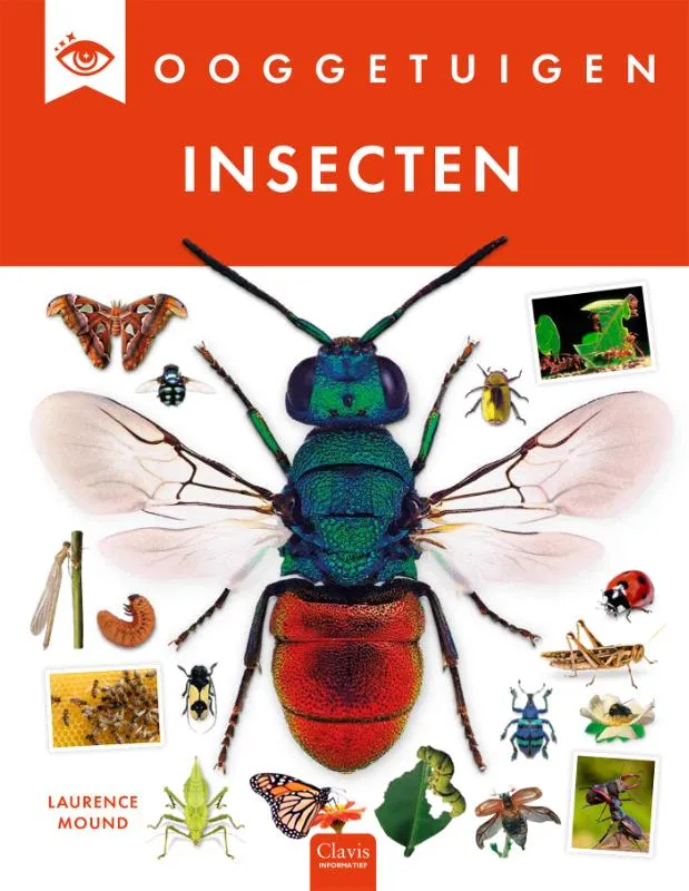 Insecten | 9789044861273 Insecten