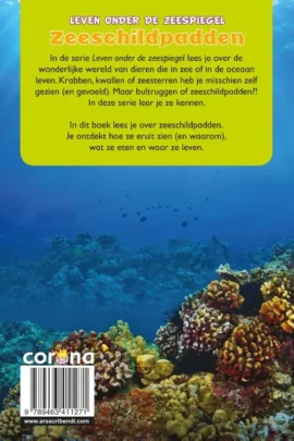 Alternative view of Zeeschildpadden