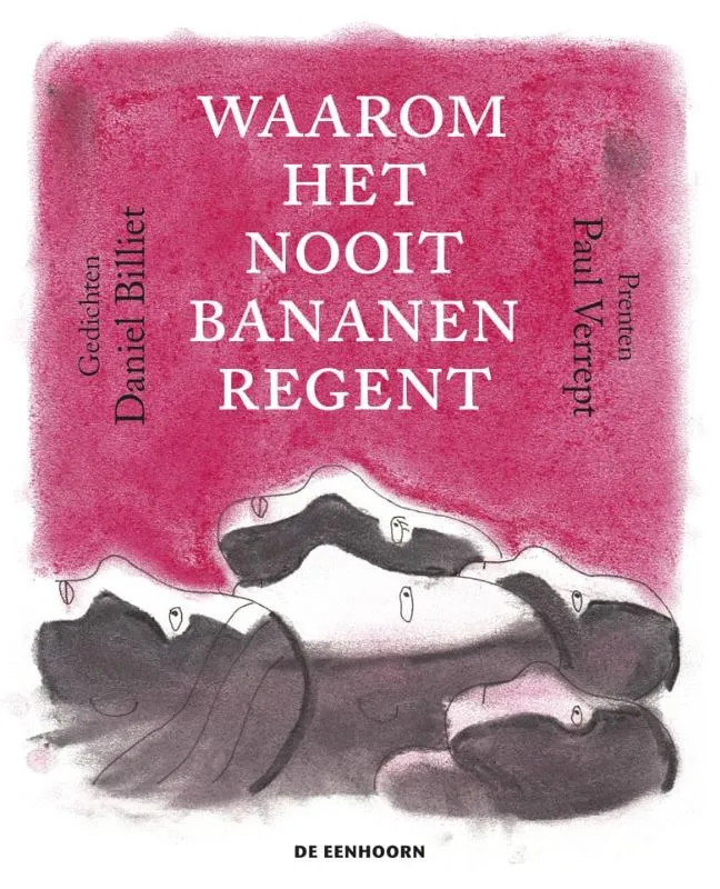 Waarom het nooit bananen regent | 9789462915060 Waarom het nooit bananen regent