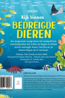 Het bos | 9781803702957 Het bos | 9781803702957