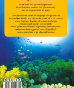 Kogelvissen | 9789463412810 Kogelvissen | 9789463412810
