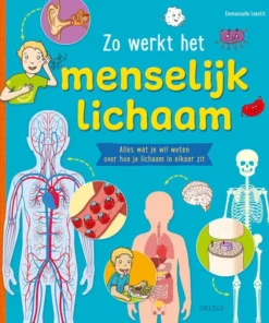 Zo werkt het menselijk lichaam