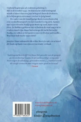 Alternative view of Boris