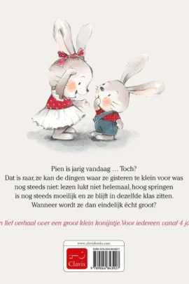 De grote verjaardag | 9789044843927