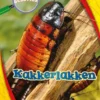 Kakkerlakken | 9789463415842 Kakkerlakken | 9789463415842