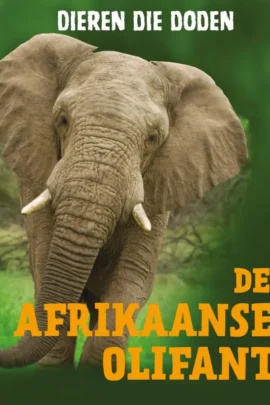 De Afrikaanse olifant