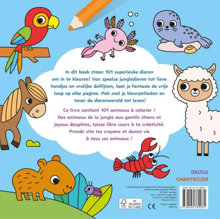 Maxi Color Fun – 101 dieren / Maxi Color Fun – 101 animaux - Afbeelding 2