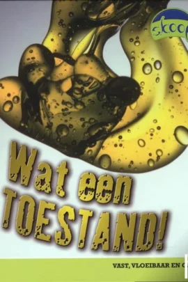 Wat een toestand