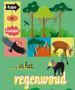 Actie en reactie ... in het regenwoud