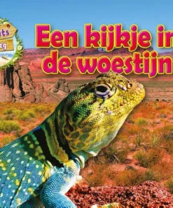 Een kijkje in de woestijn