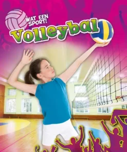 Volleybal