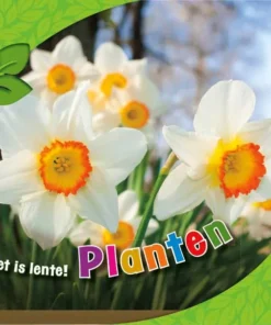 Planten