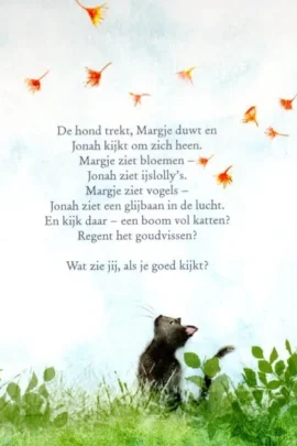 Ik zie, ik zie, wat jij niet ziet | 9789053418499