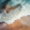 Dropped | 9789464789355