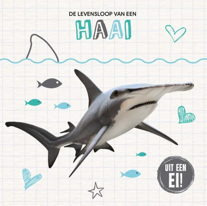 De levensloop van een haai