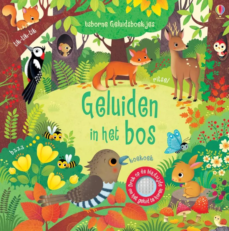 Geluidsboekje – Geluiden in het bos / druk 1 | 9781474974356 Geluidsboekje – Geluiden in het bos / druk 1