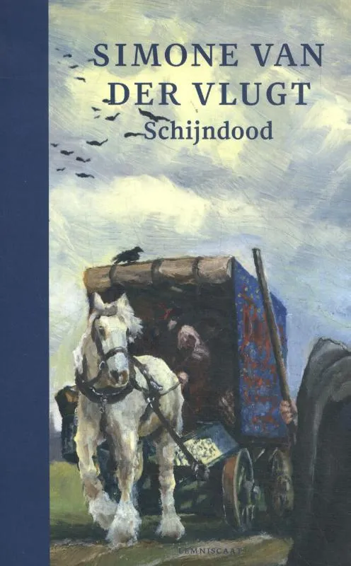 Schijndood | 9789047712145 Schijndood