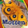 Motten | 9789463415873