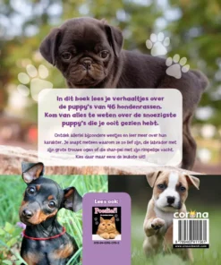 Alternative view of Hondstrouw!