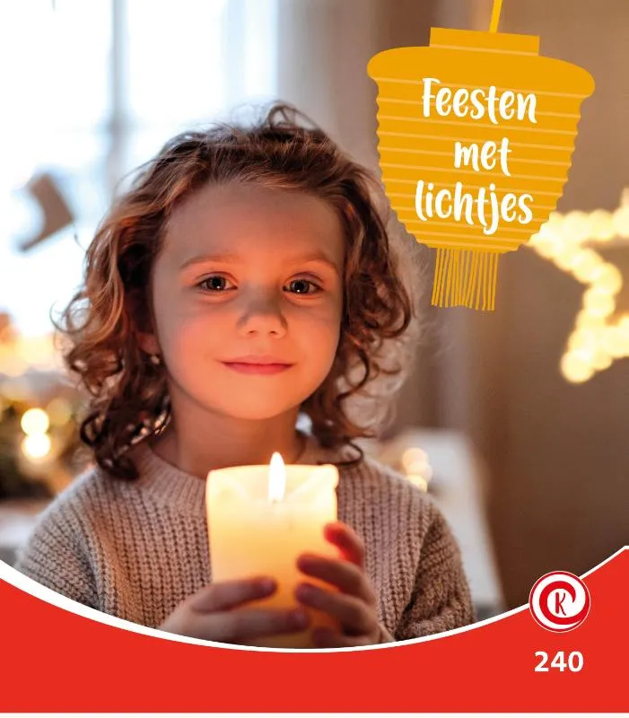 Feesten met lichtjes | 9789464393002 Feesten met lichtjes