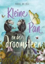 Kleine Pan en de droomsteen | 9789089671691